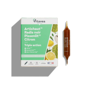 ARTICHAUT RADIS NOIR PISSENLIT CITRON