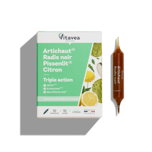 ARTICHAUT RADIS NOIR PISSENLIT CITRON